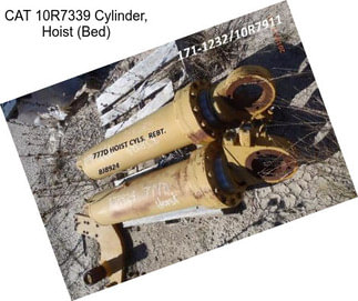 CAT 10R7339 Cylinder, Hoist (Bed)