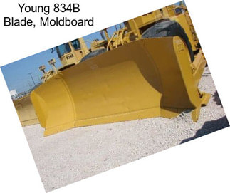 Young 834B Blade, Moldboard