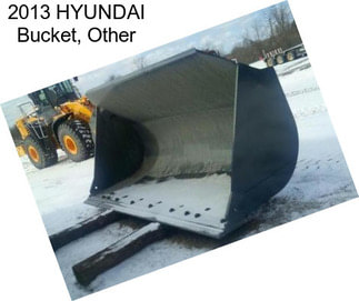 2013 HYUNDAI Bucket, Other