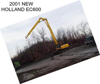 2001 NEW HOLLAND EC600