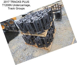 2017 TRACKS PLUS T1200N Undercarriage, Track Groups