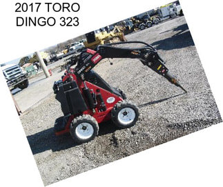 2017 TORO DINGO 323