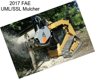 2017 FAE UML/SSL Mulcher