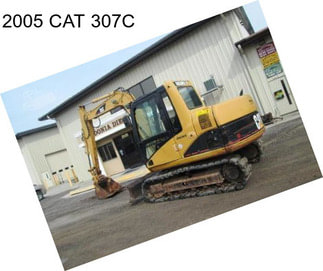 2005 CAT 307C