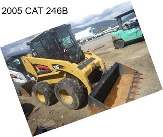 2005 CAT 246B