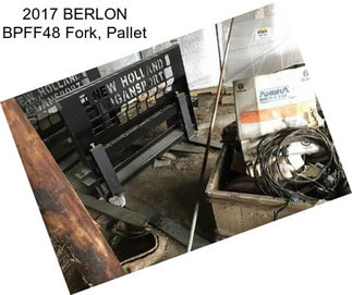 2017 BERLON BPFF48 Fork, Pallet