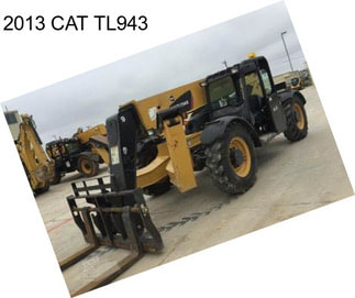 2013 CAT TL943