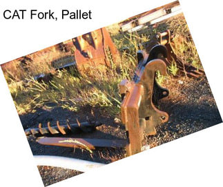 CAT Fork, Pallet