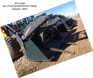 2014 AMI WL175ST54X6PPGH757TM9Q Grapple, Other