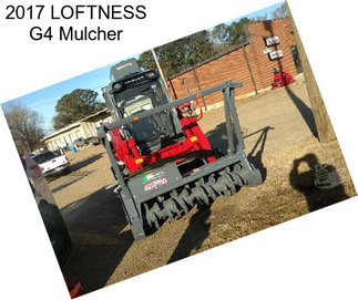 2017 LOFTNESS G4 Mulcher