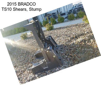 2015 BRADCO TS10 Shears, Stump