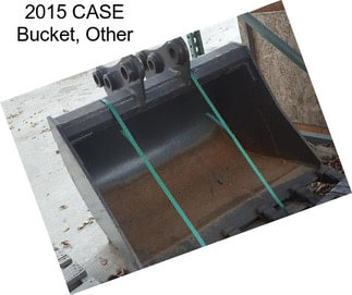 2015 CASE Bucket, Other