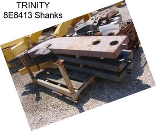 TRINITY 8E8413 Shanks