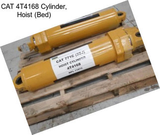 CAT 4T4168 Cylinder, Hoist (Bed)