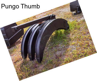 Pungo Thumb