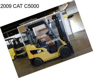 2009 CAT C5000
