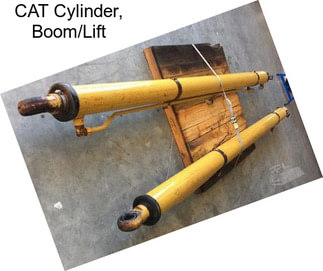 CAT Cylinder, Boom/Lift