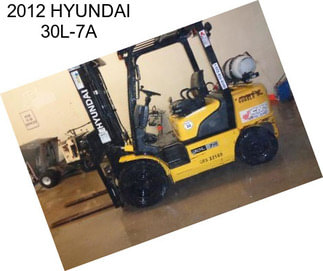 2012 HYUNDAI 30L-7A