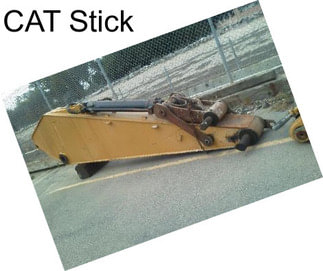 CAT Stick