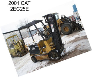 2001 CAT 2EC25E
