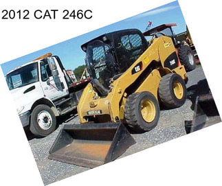 2012 CAT 246C