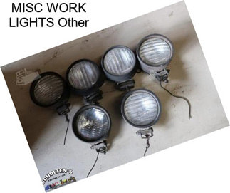 MISC WORK LIGHTS Other