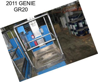 2011 GENIE GR20