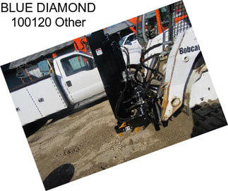 BLUE DIAMOND 100120 Other