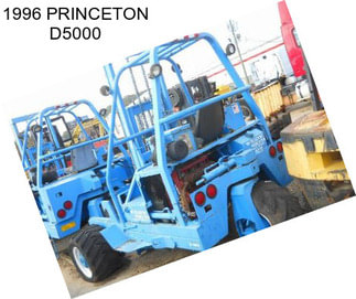 1996 PRINCETON D5000