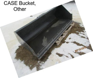 CASE Bucket, Other