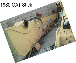 1980 CAT Stick