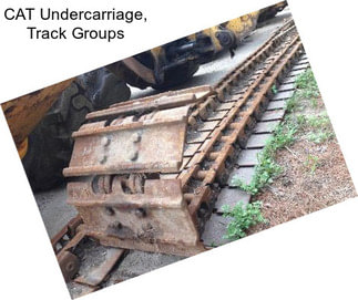 CAT Undercarriage, Track Groups