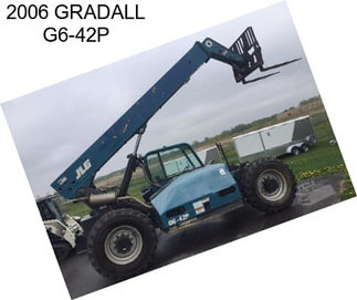 2006 GRADALL G6-42P