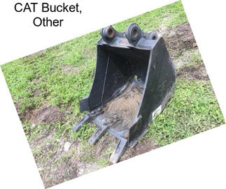 CAT Bucket, Other