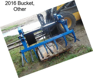 2016 Bucket, Other