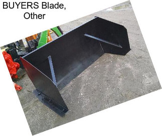 BUYERS Blade, Other