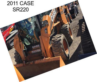 2011 CASE SR220