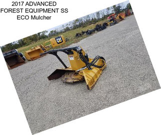 2017 ADVANCED FOREST EQUIPMENT SS ECO Mulcher