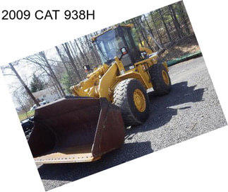 2009 CAT 938H