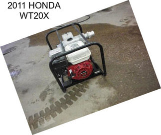 2011 HONDA WT20X