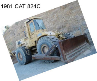 1981 CAT 824C