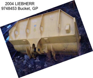 2004 LIEBHERR 9748453 Bucket, GP