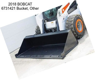 2018 BOBCAT 6731421 Bucket, Other