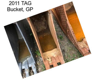 2011 TAG Bucket, GP