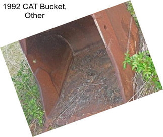1992 CAT Bucket, Other