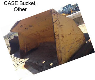 CASE Bucket, Other