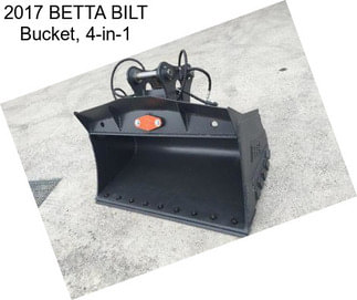 2017 BETTA BILT Bucket, 4-in-1