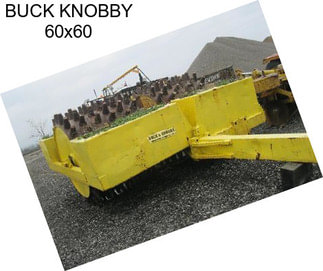 BUCK KNOBBY 60x60