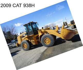 2009 CAT 938H