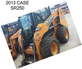 2013 CASE SR250